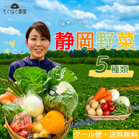 採れたて！静岡野菜セット お試し5品