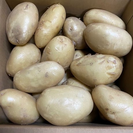 【新じゃが箱込4ｋｇ】じゃがバター最強★掘りたてメークイン