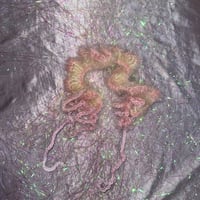 【pochepo(ポシェポ)】ヘアアクセサリー