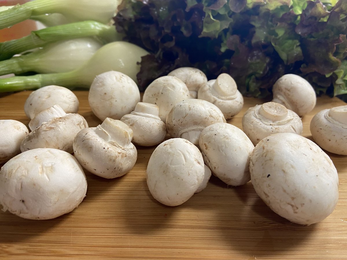 ミニマムきのこ *petite 真白 champignon*