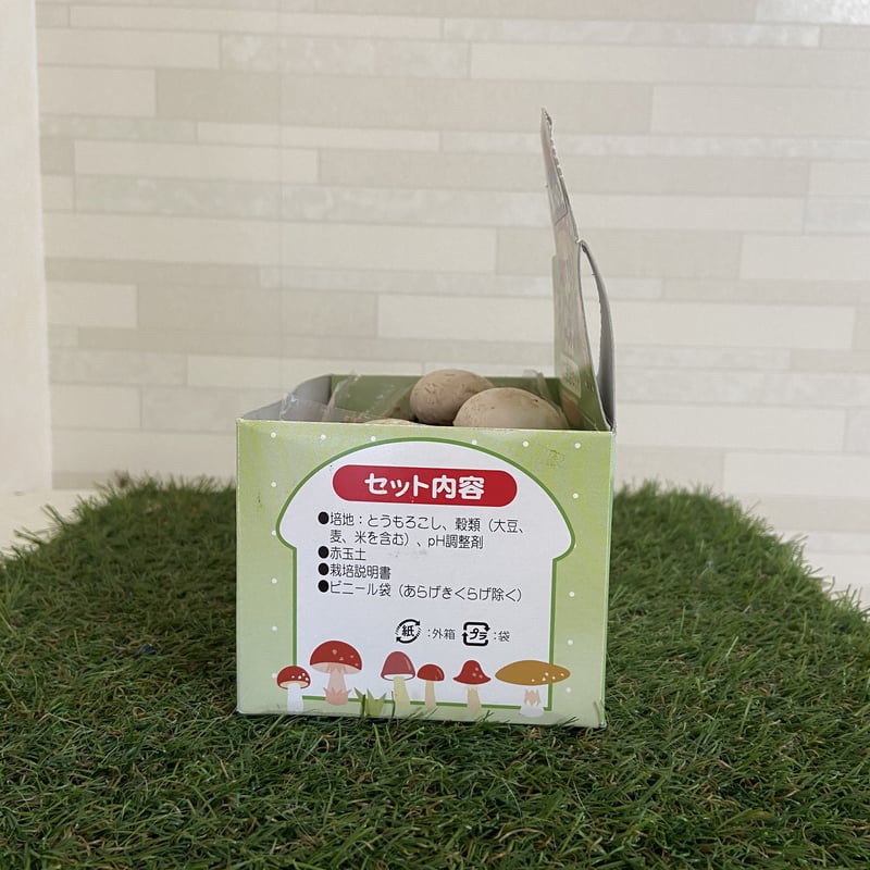 きのこ 4589588307214_01.jpg