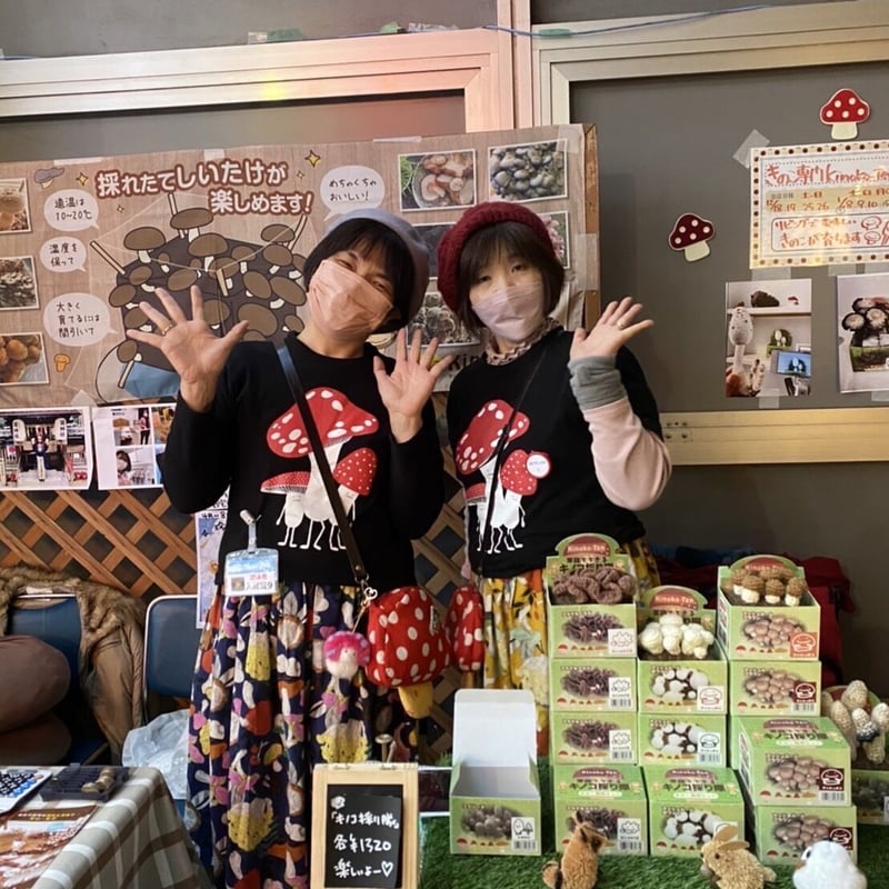 きのこ(おまとめ割実施中)　おまとめ きのこの教科書 観察と種同定の入門 | 佐久間 大輔 |本 | 通販 | Amazon