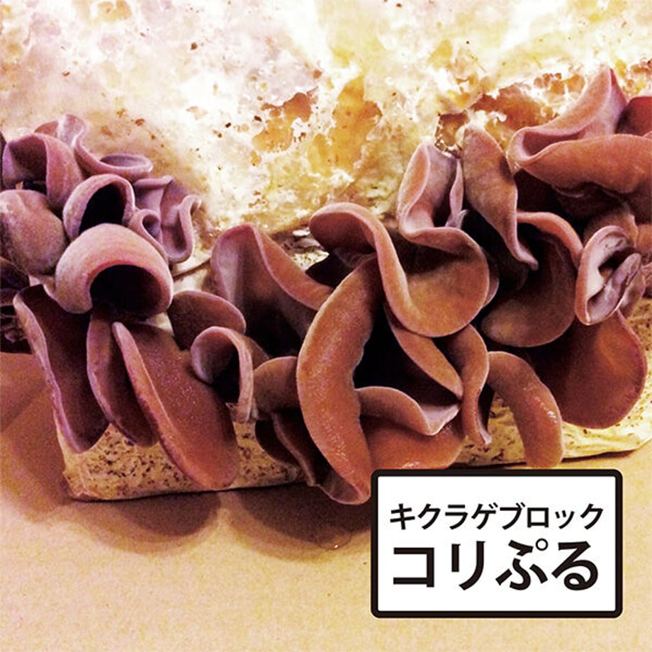 60a7295950a48a694b84fd96