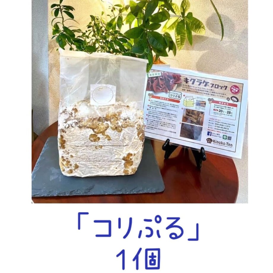 60c6a006933e9b031d6983ee