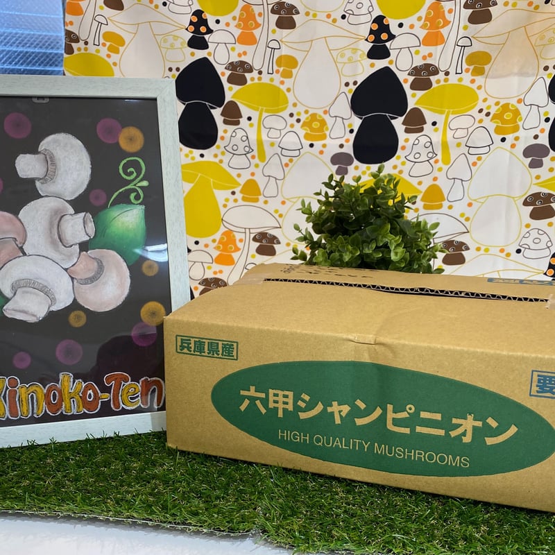 六甲シャンピニオン」ホワイトマッシュルーム(業務用2kg