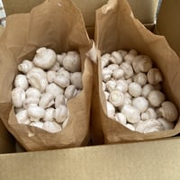 「六甲シャンピニオン」ホワイトマッシュルーム(業務用2kg)
