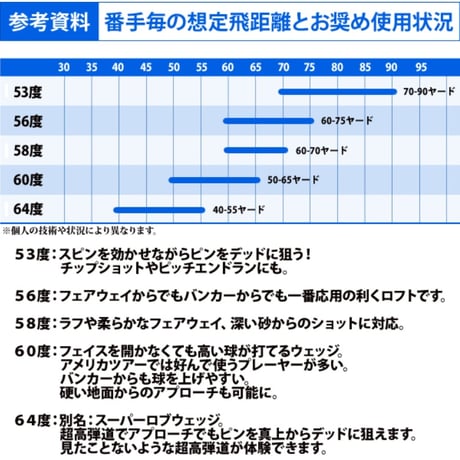 ゴルフ クラブ ウェッジ ステンレスヘッド クロムエージェント　スピンデザイナーカーボンシャフト　スチールシャフト メンズ　右用