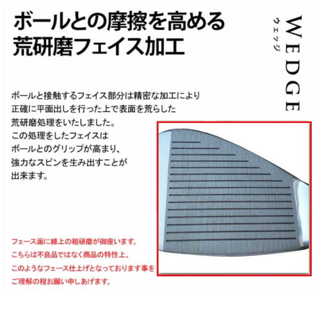 ゴルフ クラブ ウェッジ ステンレスヘッド クロムエージェント　スピンデザイナーカーボンシャフト　スチールシャフト メンズ　右用