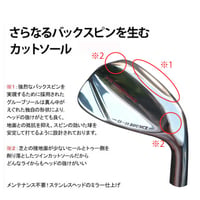 ゴルフ クラブ ウェッジ ステンレスヘッド クロムエージェント　スピンデザイナーカーボンシャフト　スチールシャフト メンズ　右用