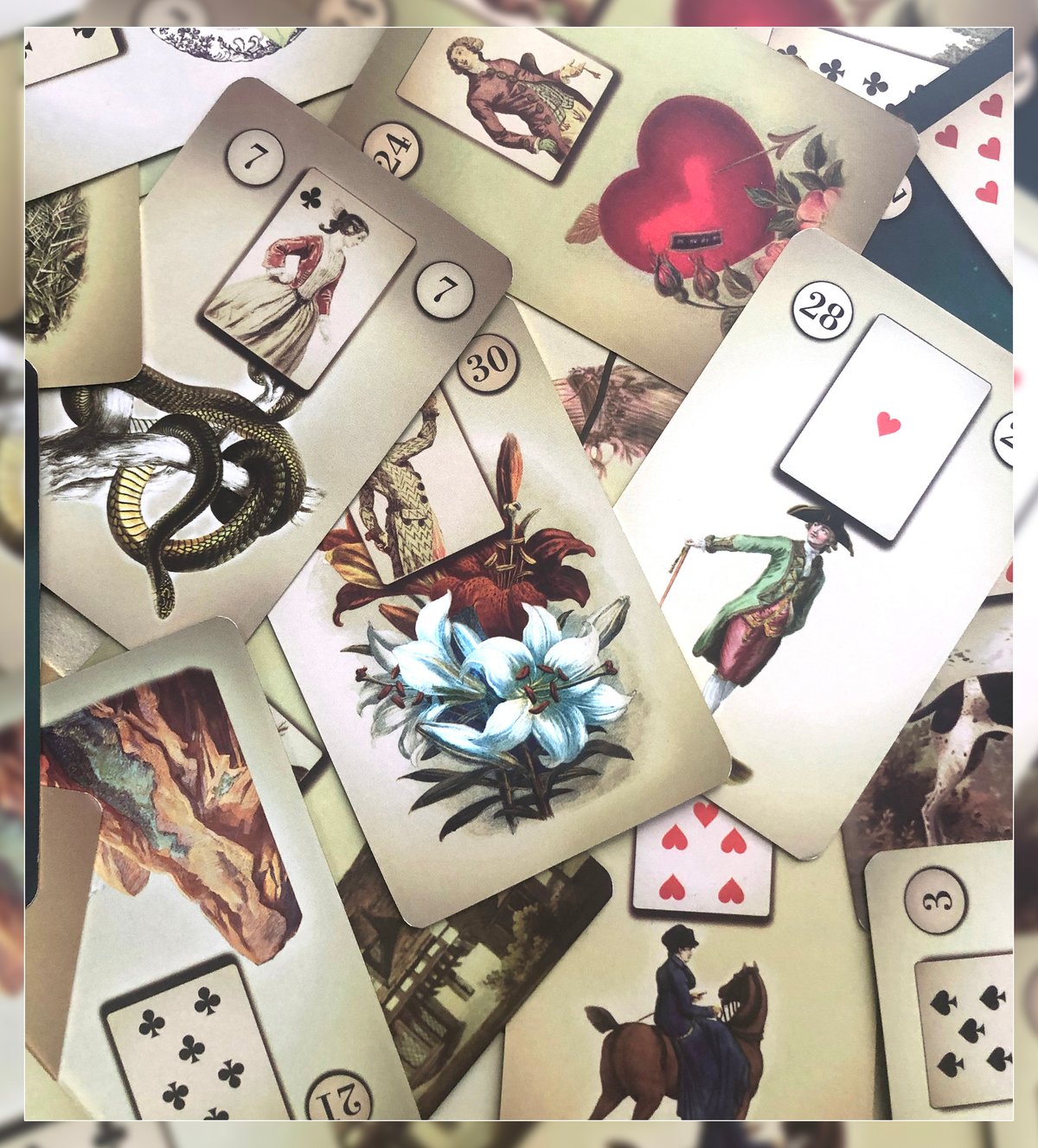 伝統的なルノルマンカード | musemuse