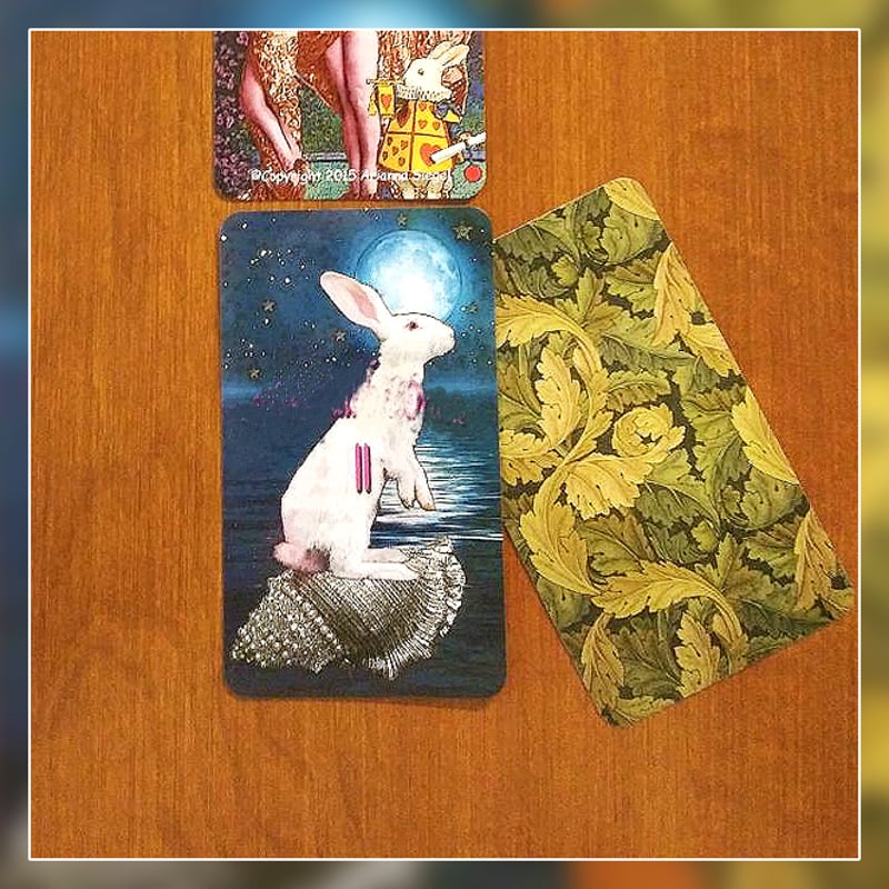 2作目】The White Rabbit OracleⅡ【オラクルカード】 | musemuse