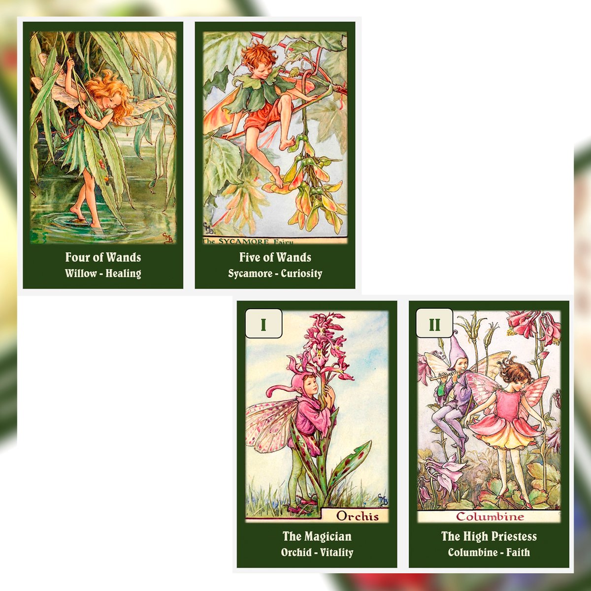 予約商品】Flower Fairies Tarot Deck【タロットカード】 | muse