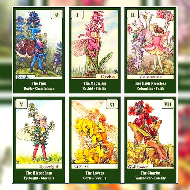 予約商品】Flower Fairies Tarot Deck【タロットカード】 | muse