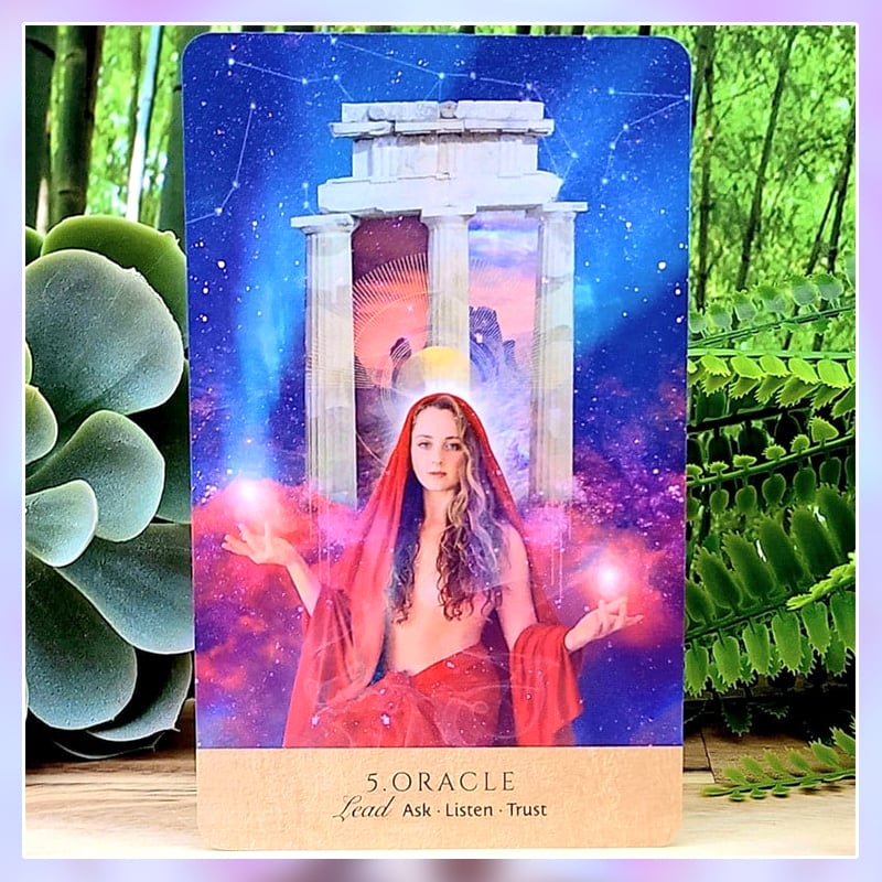 予約商品】Oracle of Delphi【オラクルカード】 | musemuse