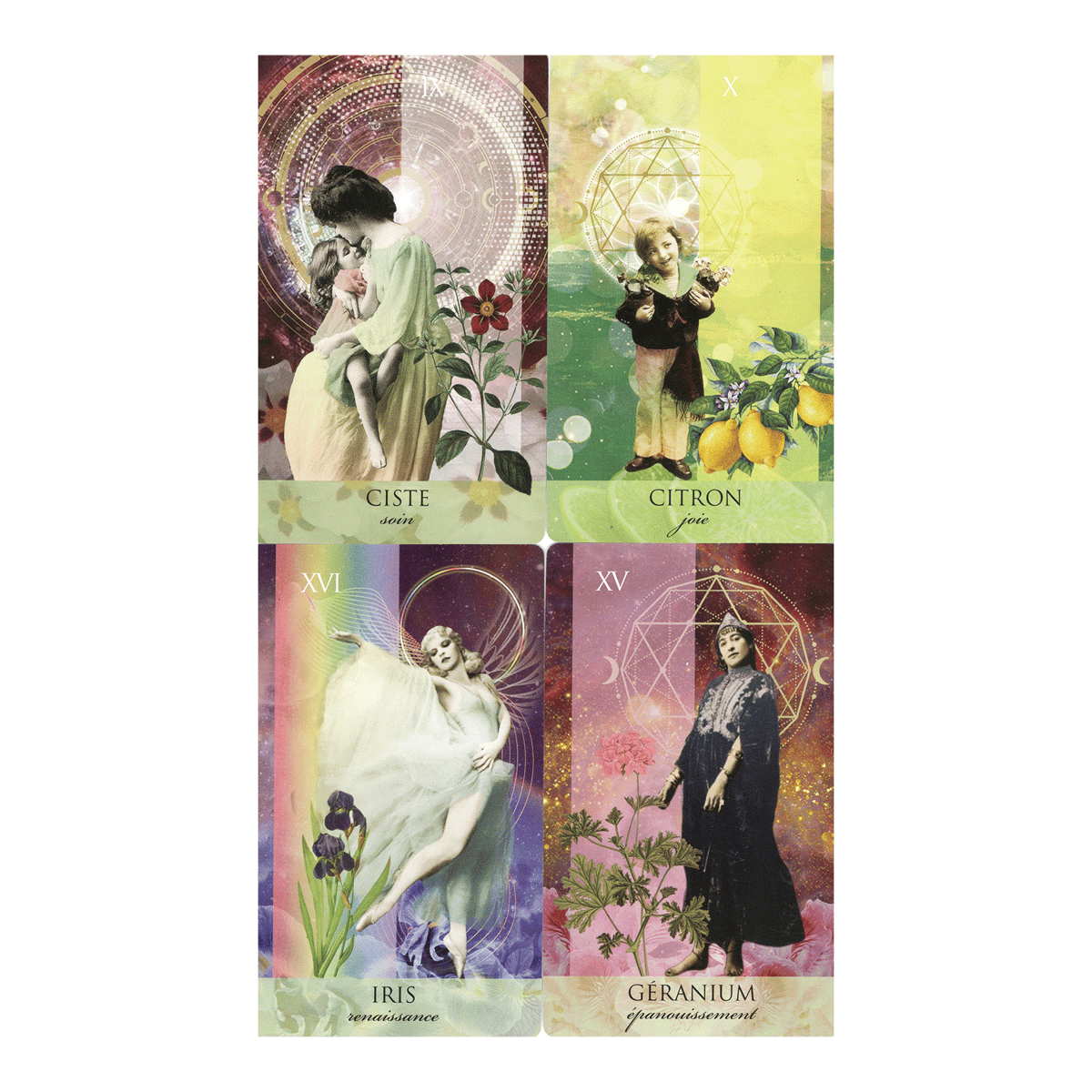 フランス語】オラクルアロマティーク【オラクルカード】 | musemuse