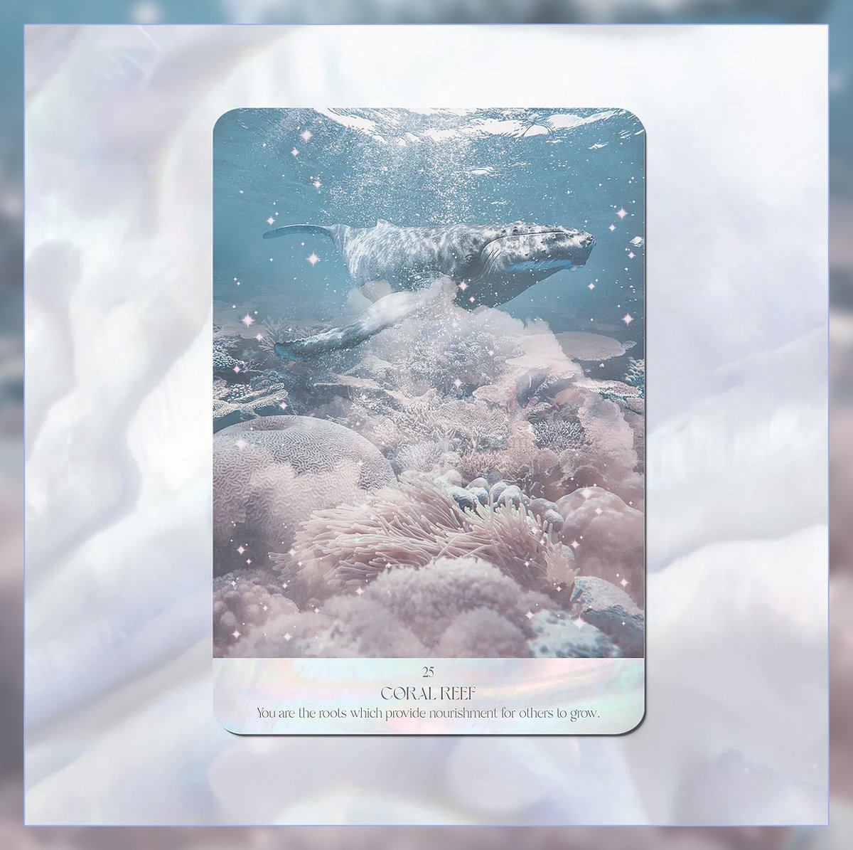 Amazon.com: Salt + Sea Energy