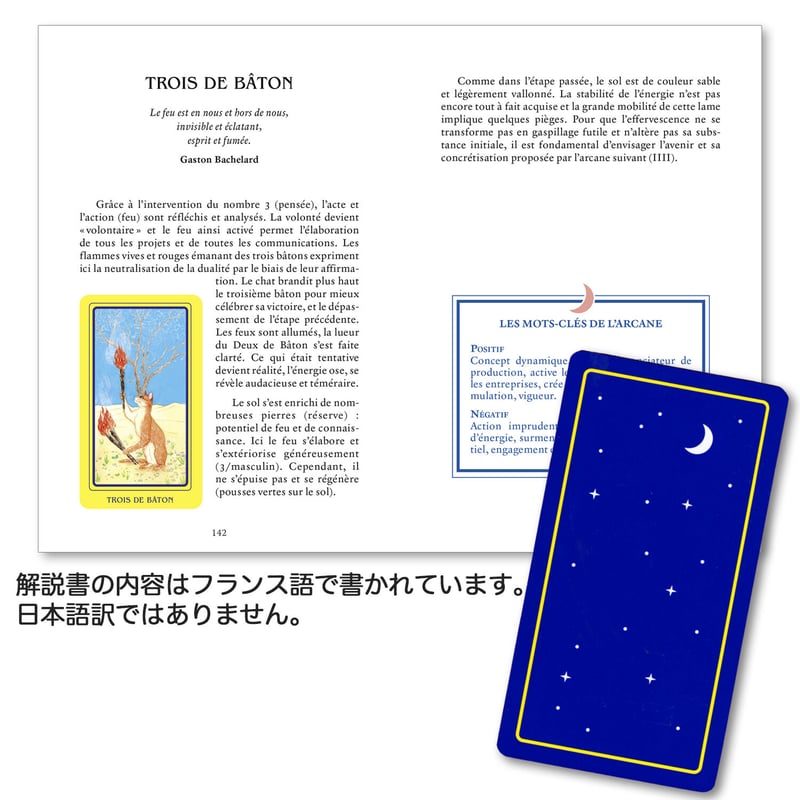 ✨銀縁✨可愛すぎて癒される♡フランスの猫ちゃんタロットカード・オラクルカード Amazon.co.jp: 銀縁可愛すぎて癒されるフランスの猫ちゃん