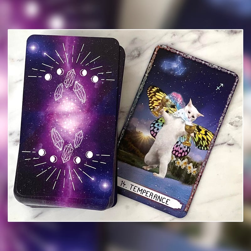 【正規品】　Astro Kitties Tarot Deck タロット　キャット 予約商品】Astro Kitties Tarot Deck【タロットカード】 | musemuse