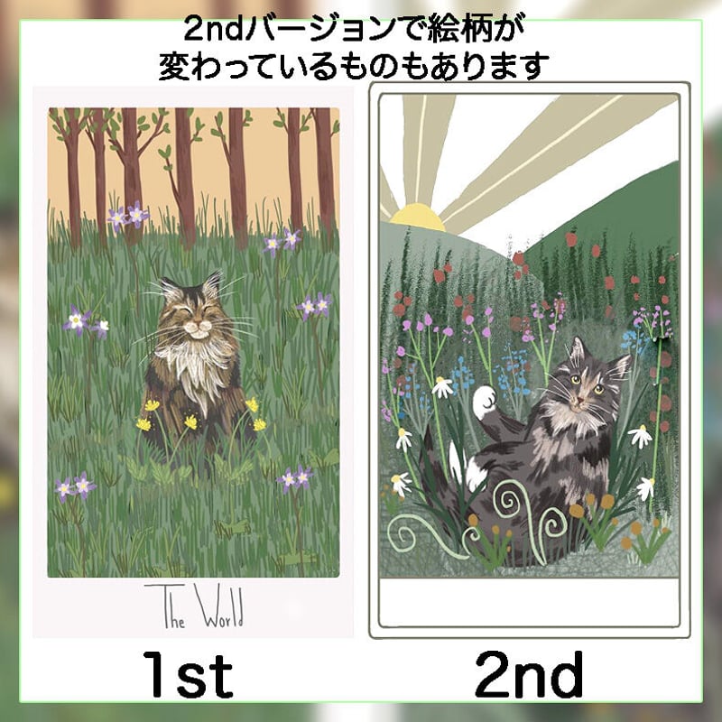 Considerate Cat Tarot | musemuse Considerate Cat Tarot | musemuse