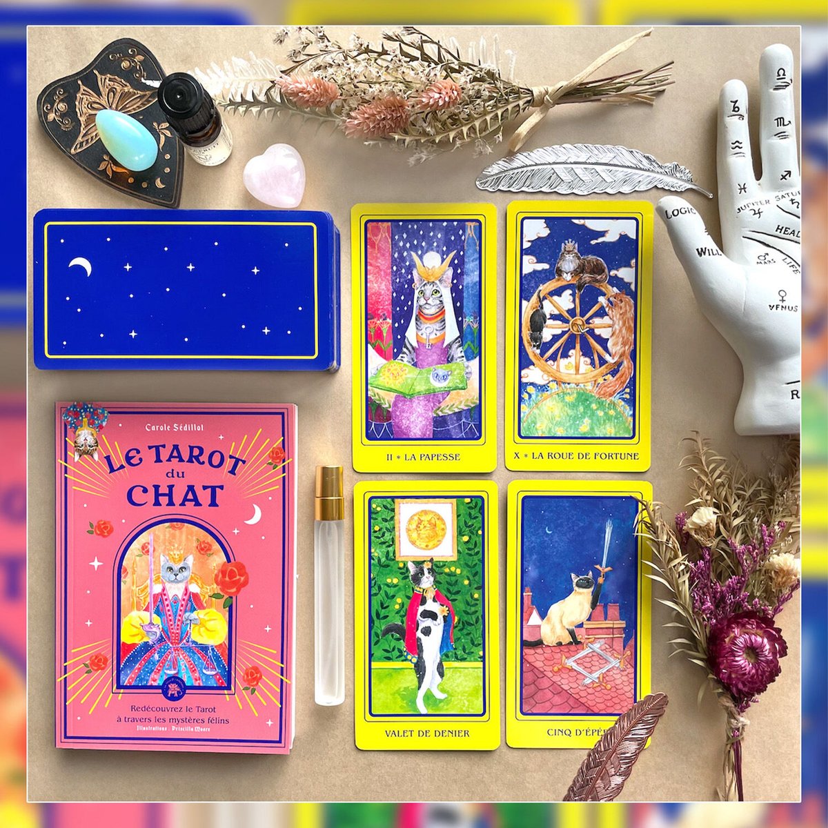フランス語】猫のタロット【タロットカード】 | musemuse
