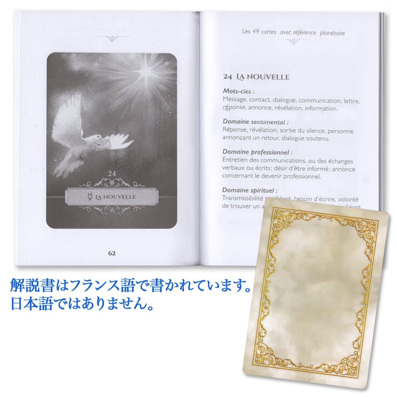 フランス語】オラクル・べリーヌ【オラクルベリーヌ】 | musemuse