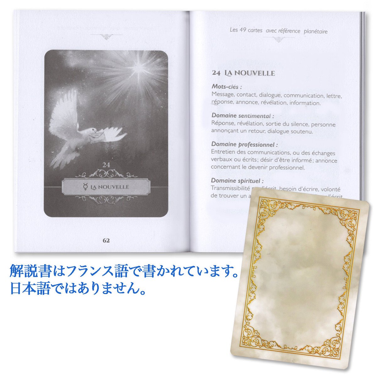 フランス語】オラクル・べリーヌ【オラクルベリーヌ】 | musemuse