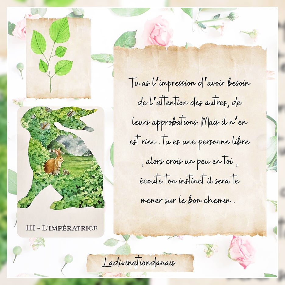 英語版 The WilderWoven Tarot タロットカード Amazon.co.jp: Tarot Cards, Divination Telling, 78 Cards