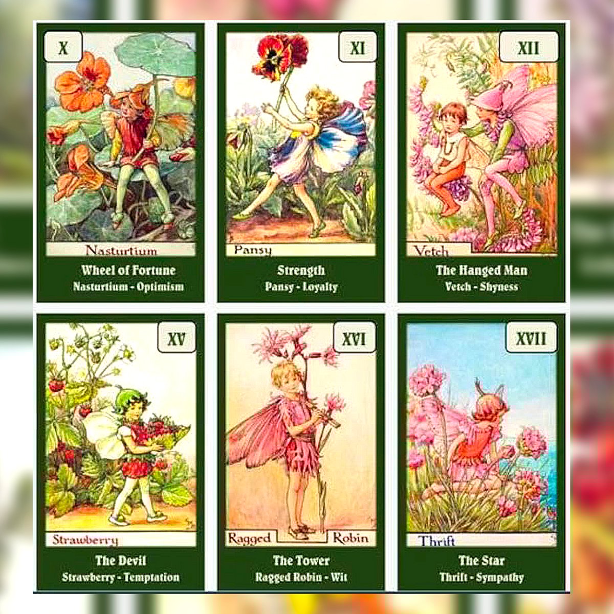 フラワー フェアリーズ デッキ フェアリーランド タロットカード 占い 予約商品】Flower Fairies Tarot Deck【タロットカード】 | muse