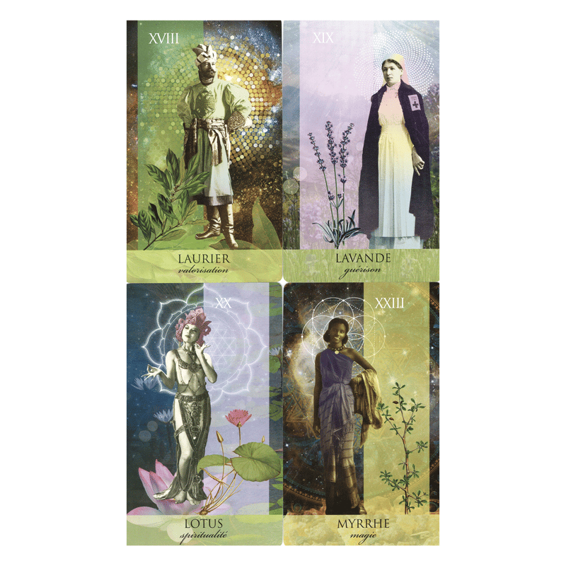 フランス語】オラクルアロマティーク【オラクルカード】 | musemuse