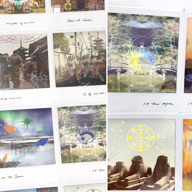 予約商品】wildlands tarot【タロットカード】 | musemuse