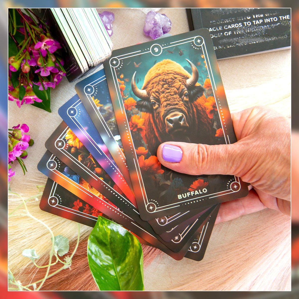 予約商品】Spirit Animals Oracle【オラクルカード】 | musemuse