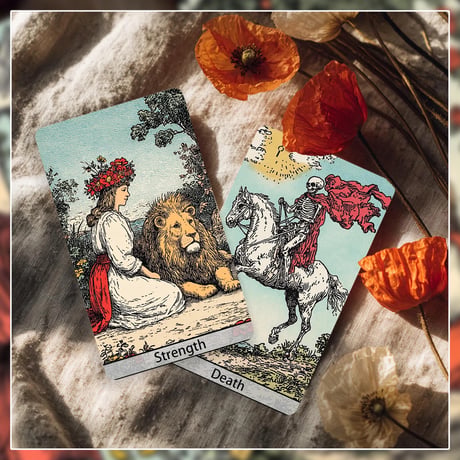 Line Reverie Tarot Deck【タロットカード】