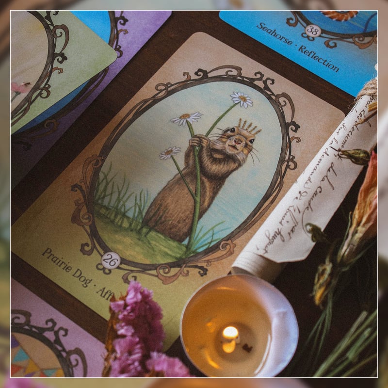 Wing, Hoof and Paw【オラクルカード】 | musemuse