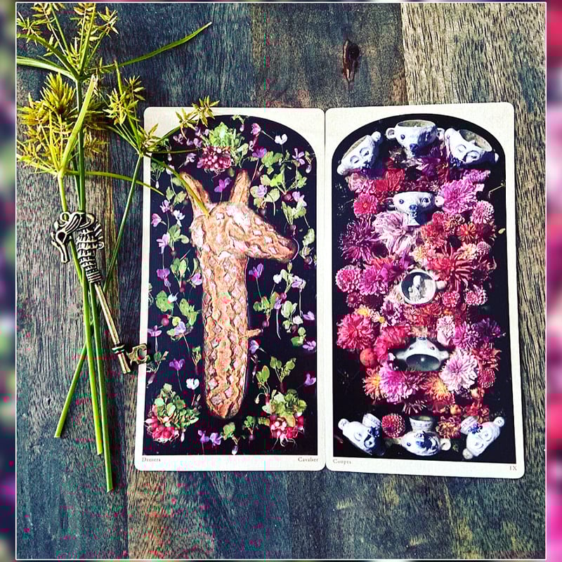 予約商品】Tarot of the Drowning World【タロットカード】 | mu