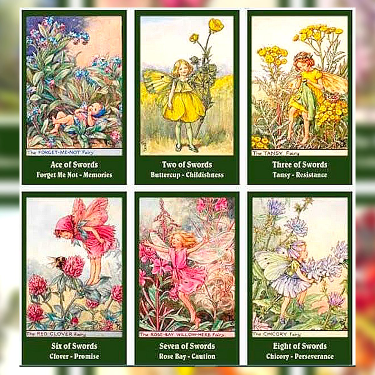 予約商品】Flower Fairies Tarot Deck【タロットカード】 | muse