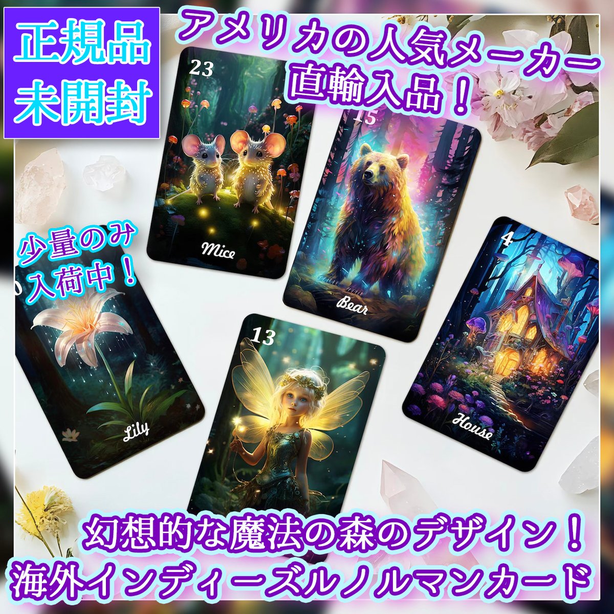 神秘的な世界観の美麗カード✨海外人気デッキ✨魔法のルノルマン