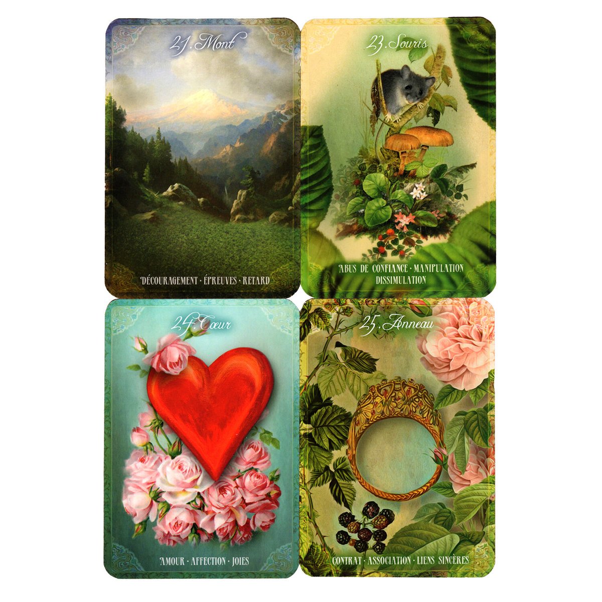 fit=scale-down,w=1200