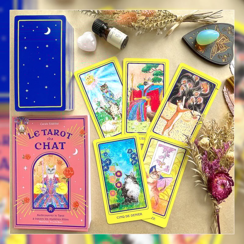 フランス語】猫のタロット【タロットカード】 | musemuse