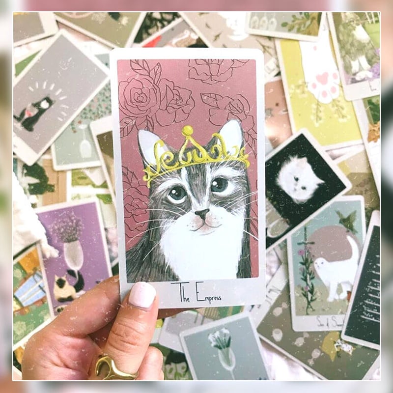 予約商品】Considerate Cat Tarot | musemuse 予約商品】Considerate Cat Tarot | musemuse