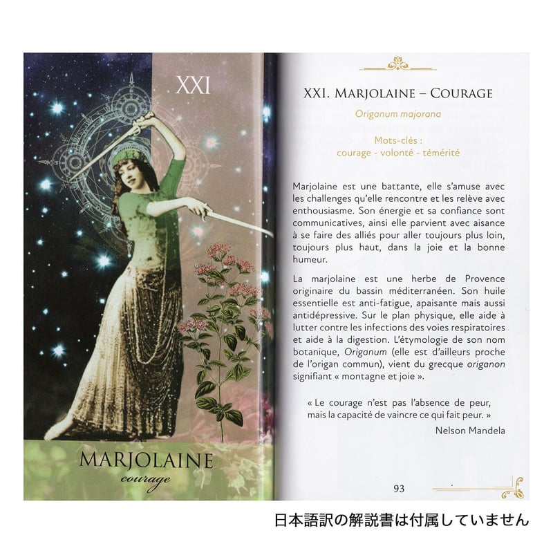 フランス語】オラクルアロマティーク【オラクルカード】 | musemuse