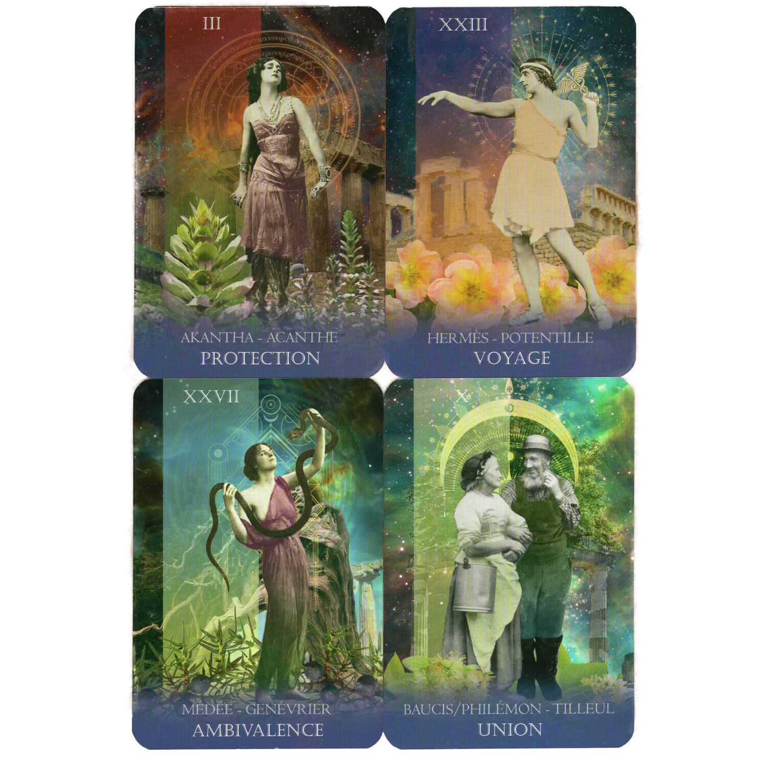 【正規品】フランス発の華麗な神々と植物のコラージュオラクルカード✨海外限定 original