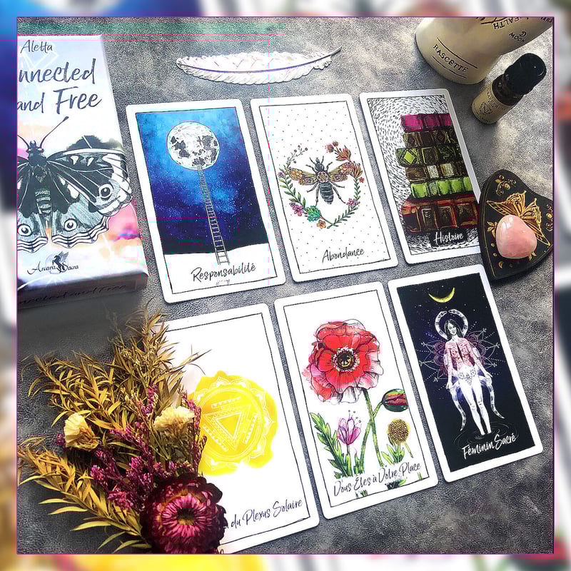 Connected and Free フランス語版解説書付き