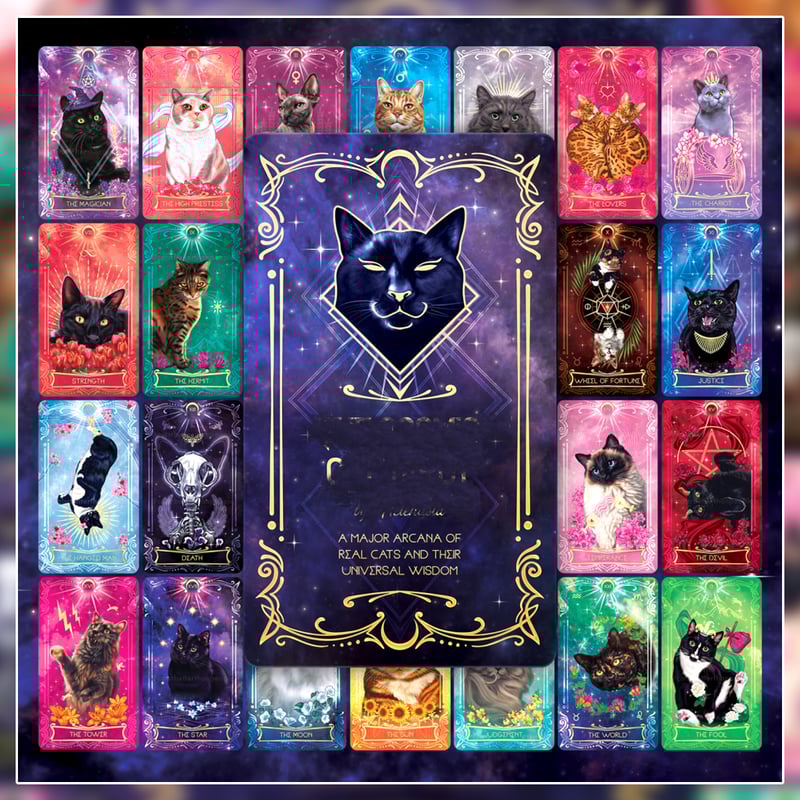 ✨書籍付きフルセット✨クラファン作成の22枚＋11枚の猫ちゃんタロットカード ハードカバー書籍つき】The Cosmic Cat Tarot【タロットカード