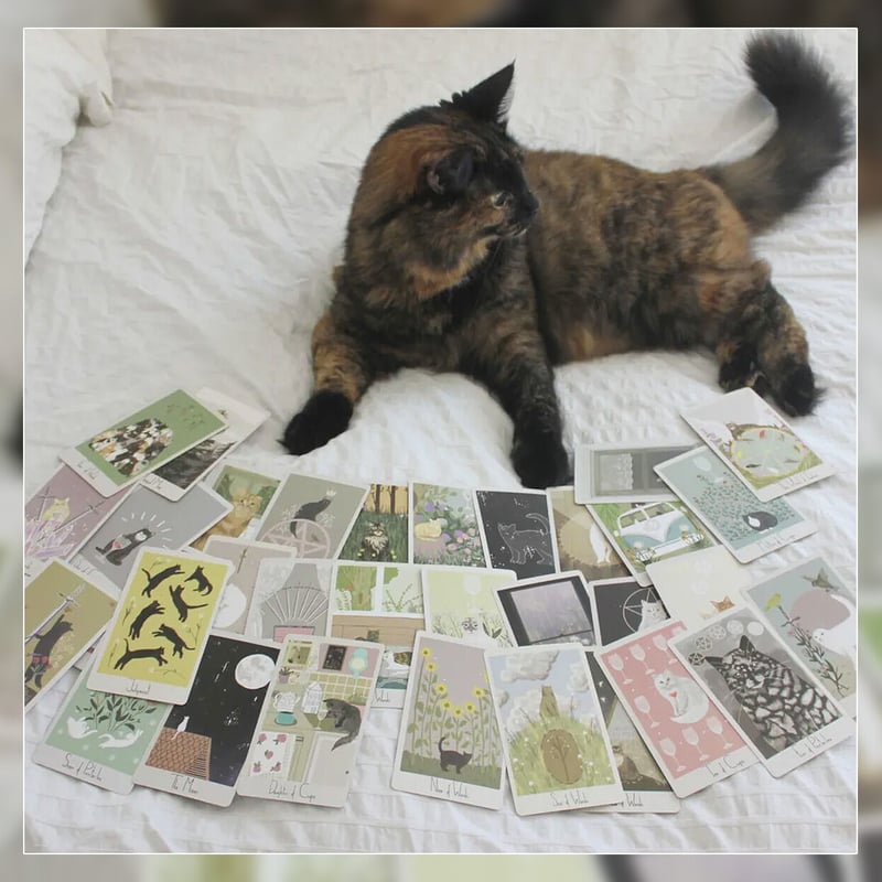 趣味・スポーツ・実用 considerate cat TAROT Considerate Cat Tarot コンシダレート・キャット・タロット