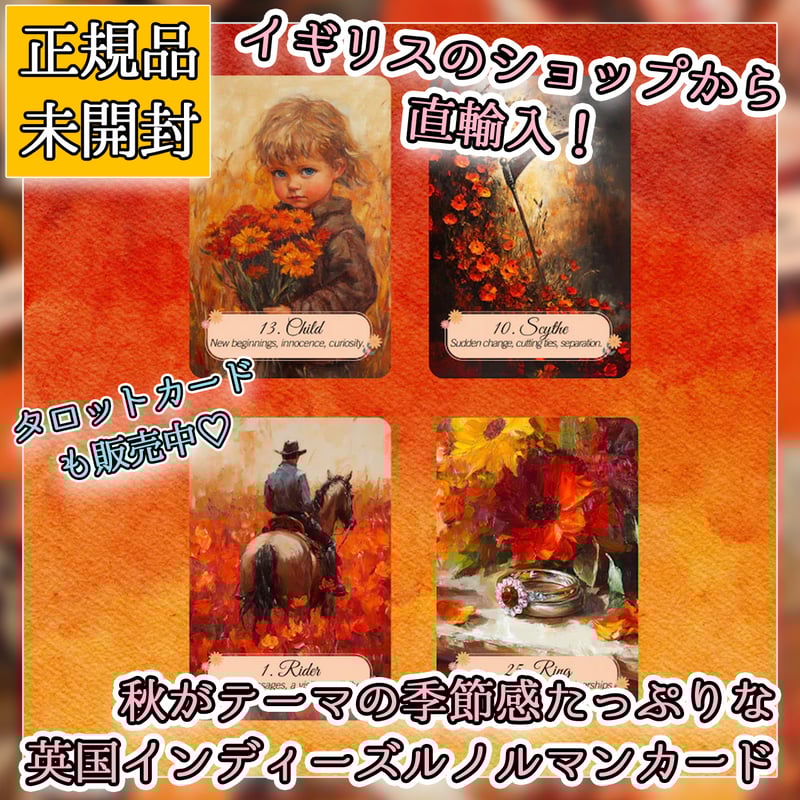 CARDMANIA カードマニア　3点＆チラシ3枚 CARDMANIA カードマニア 3点＆チラシ3枚 CARDMANIA カードマニア