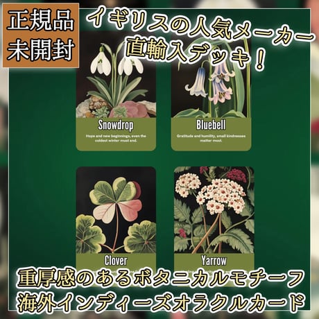 正規品✨超美麗海外インディーズ✨追加カード有✨フレンチエレガンスルノルマンカード 正規品✨超美麗海外インディーズ✨追加カード有✨フレンチ