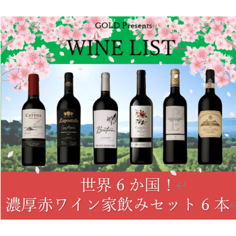 世界6か国！濃厚赤ワイン家飲み6本￥25,000セット