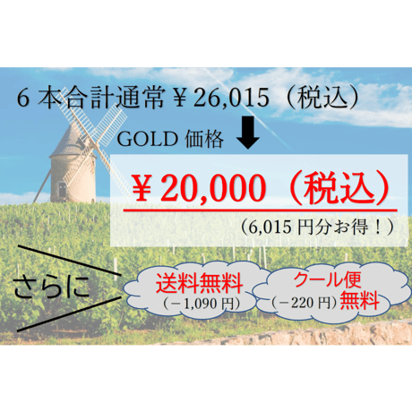 【第3弾】GOLDコース 6本20,000円セット