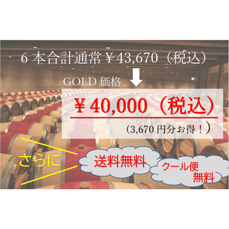 【第1弾】PLATINUMコース 6本40,000円セット