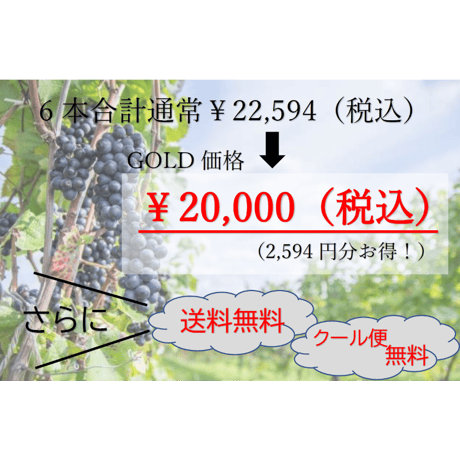 RICH tasteコース 4本20,000円